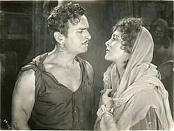 The Black Pirate poster